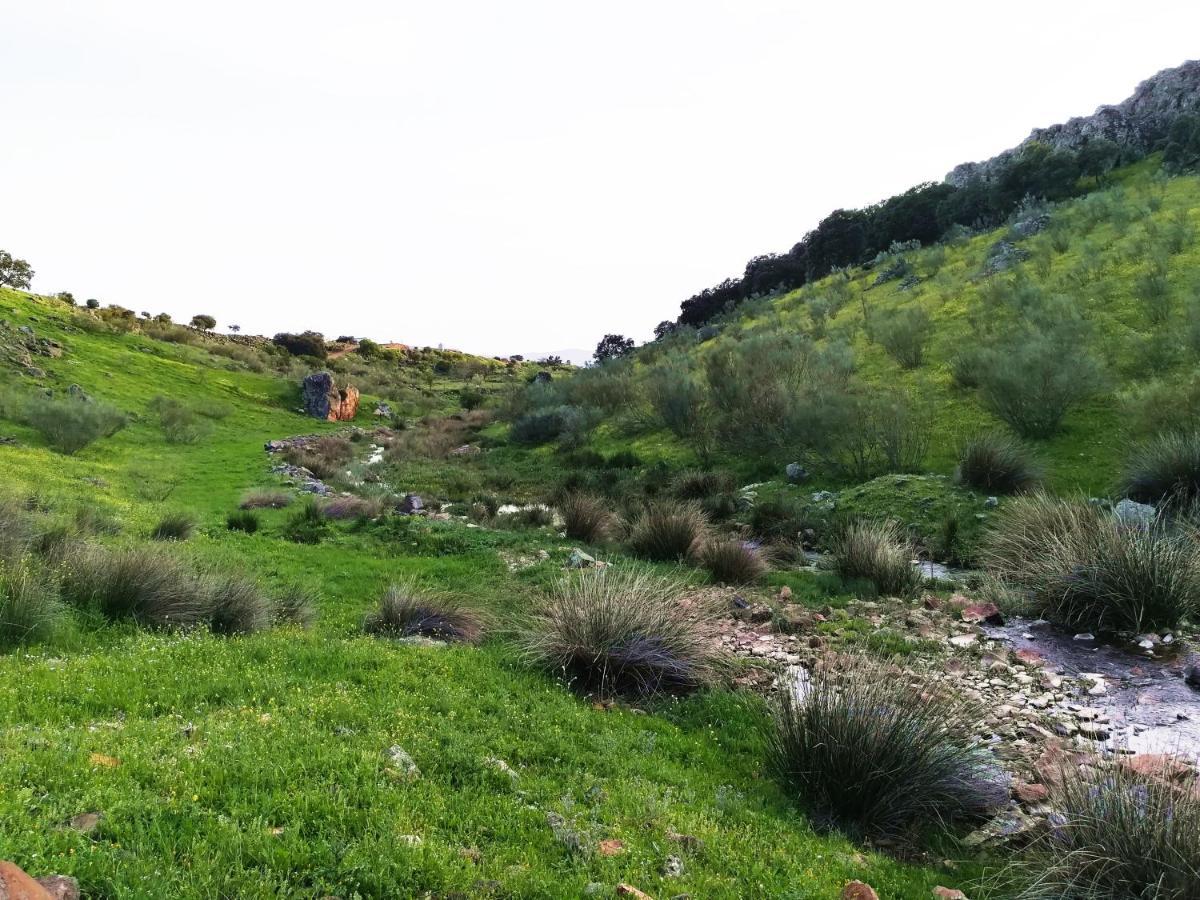 En El Cerro Del Buho Ferienhaus