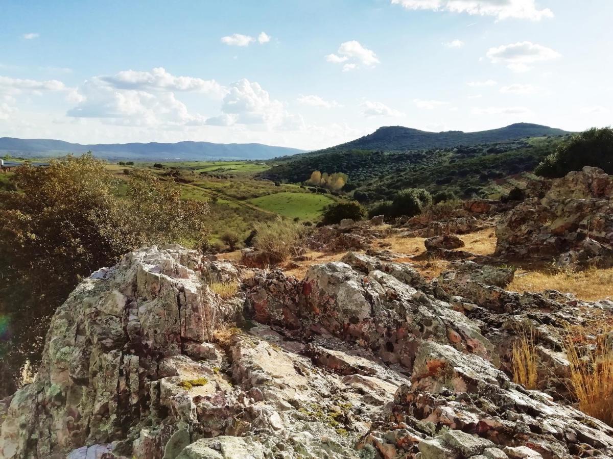 En El Cerro Del Buho * Piedrabuena
