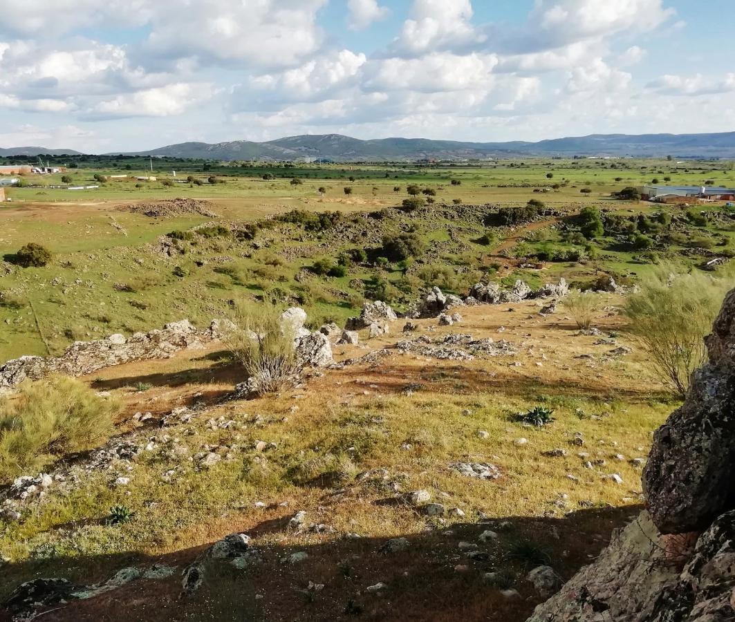 En El Cerro Del Buho